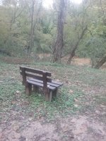20181028_164458.jpg