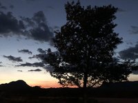 42E7640C-E317-406F-B7AB-C18B7ACFC656.jpeg