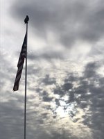 44599B29-5F9F-48FF-81BB-F12C4C1FE272.jpeg