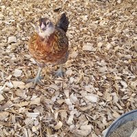 20181029_171001.jpg