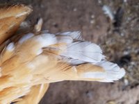 20181030_133753.jpg