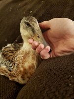 20181030_190358.jpg