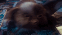 34D34116-2EBE-413B-8F51-0CABD6DC9569.gif
