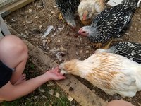 20180801_202515.jpg