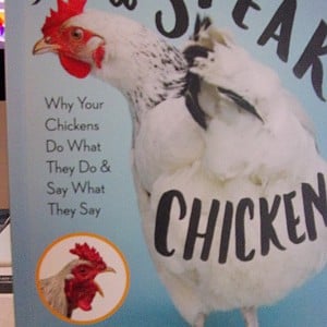 How To Speak Chicken