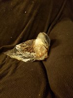 20181030_190315.jpg