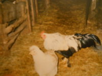 DSCN0633.JPG
