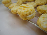 DSC05771.JPG