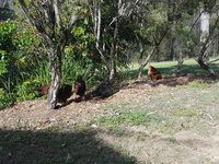 20181103_071811.jpg