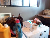 20181102_173322.jpg