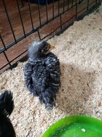 20180929_144057.jpg