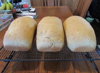 wheat bread baked 11 4 2018.JPG