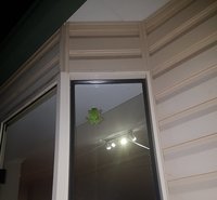 20181105_203651.jpg
