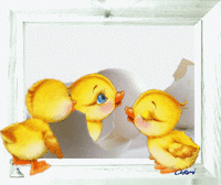 duckling picture.gif