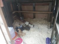 20181030_162615.jpg