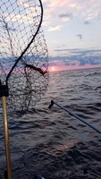 20180812_063428.jpg