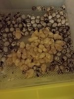 20181107_135941.jpg