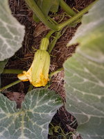 20181110_085840.jpg