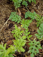 20181110_085934.jpg