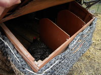 coop cover nesting box.JPG