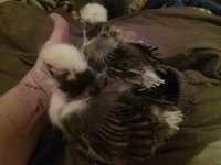 20181109_000249.jpg