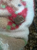 20181110_073844.jpg
