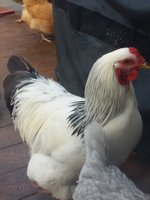 20181110_083413.jpg