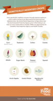 gmo_infographic_final_052918.png