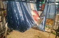20181023_173646.jpg