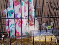 20181018_170022.jpg