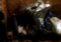 picture (1) - Edited (1).png