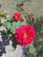 20181111_102641.jpg