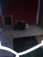 20181111_151458.jpg