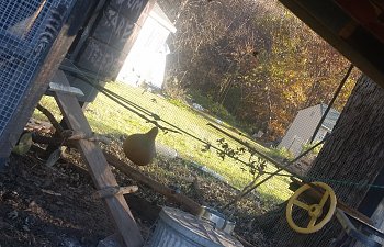 20181110_152742.jpg