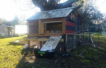 20181110_152046.jpg