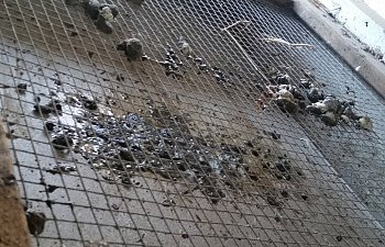 20181107_085303.jpg