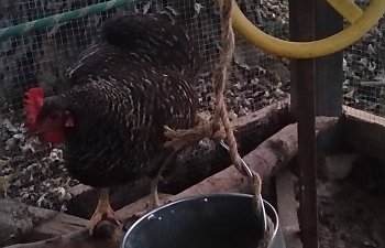 20181110_171937.jpg