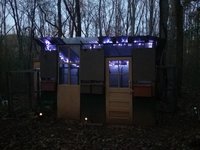 20181111_172759.jpg