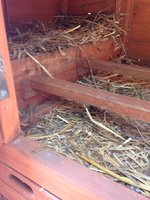 IMG_9196.JPG