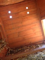 IMG_9198.JPG