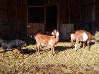 IMG_20181110_101618343.jpg