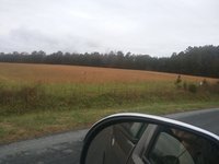 20181113_142916.jpg