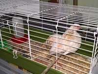 WP_20171209_17_30_11_Pro.jpg