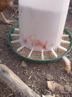 20181113_160651.jpg 20181113_160651.jpg
