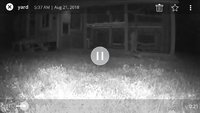 Screenshot_20180823-101058_Arlo.jpg
