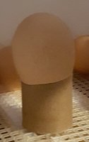 20181113_224200.jpg