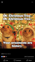 0C9714ED-0C11-4273-BC3A-83B324FE02B0.png