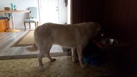 20181113_120219.jpg