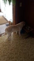 20181113_120228.jpg