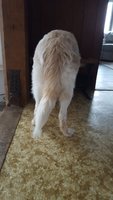 20181113_120237.jpg